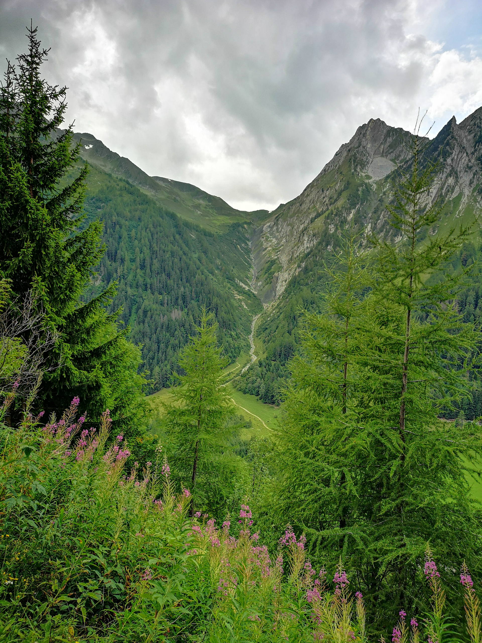 IMG 20190813 152056