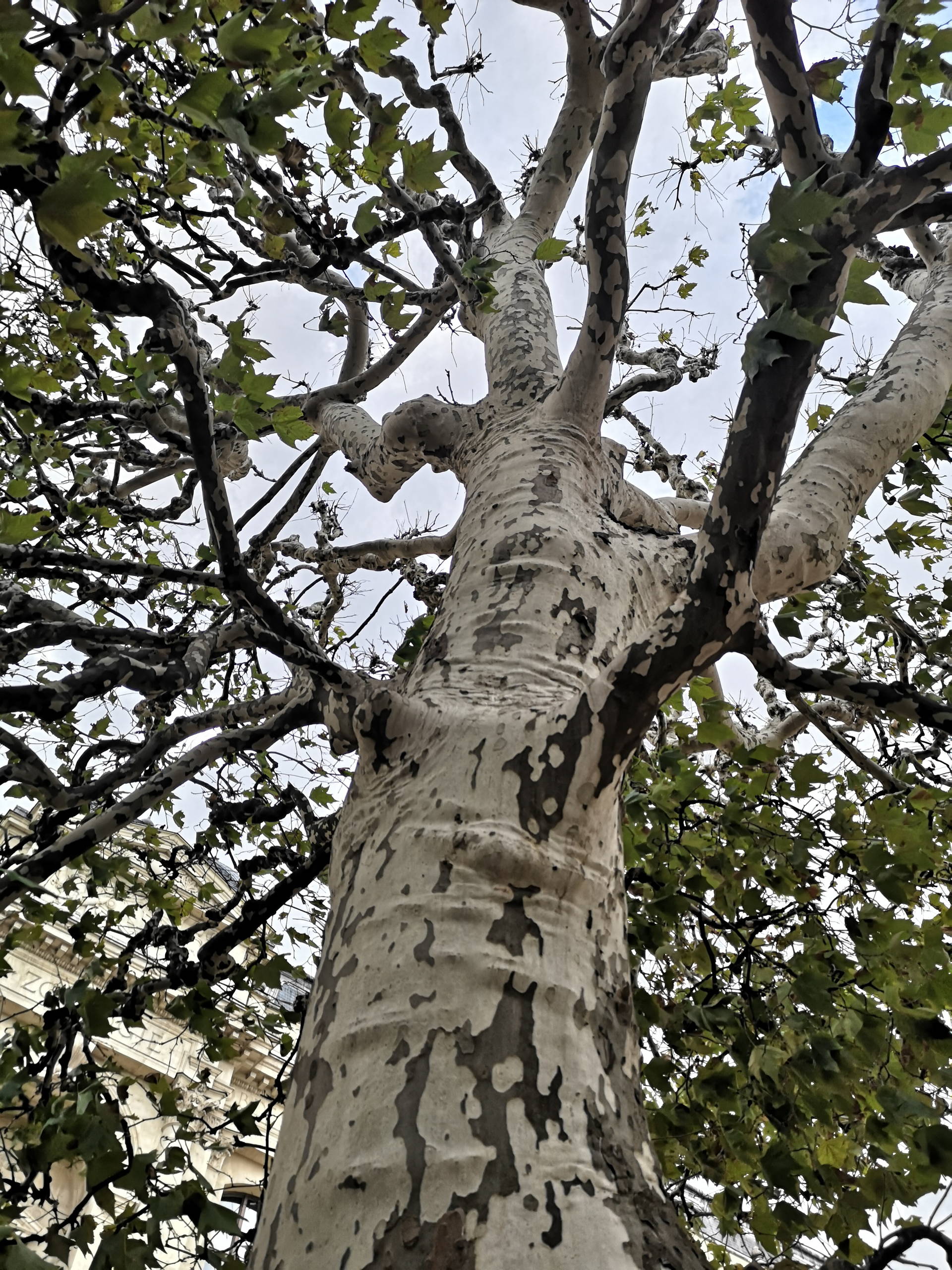 IMG 20191013 164900