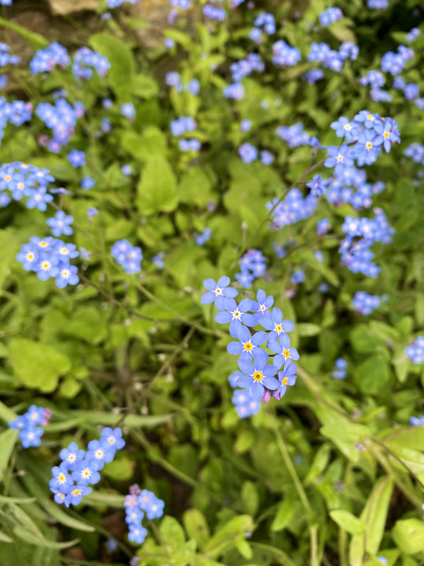 IMG 7526