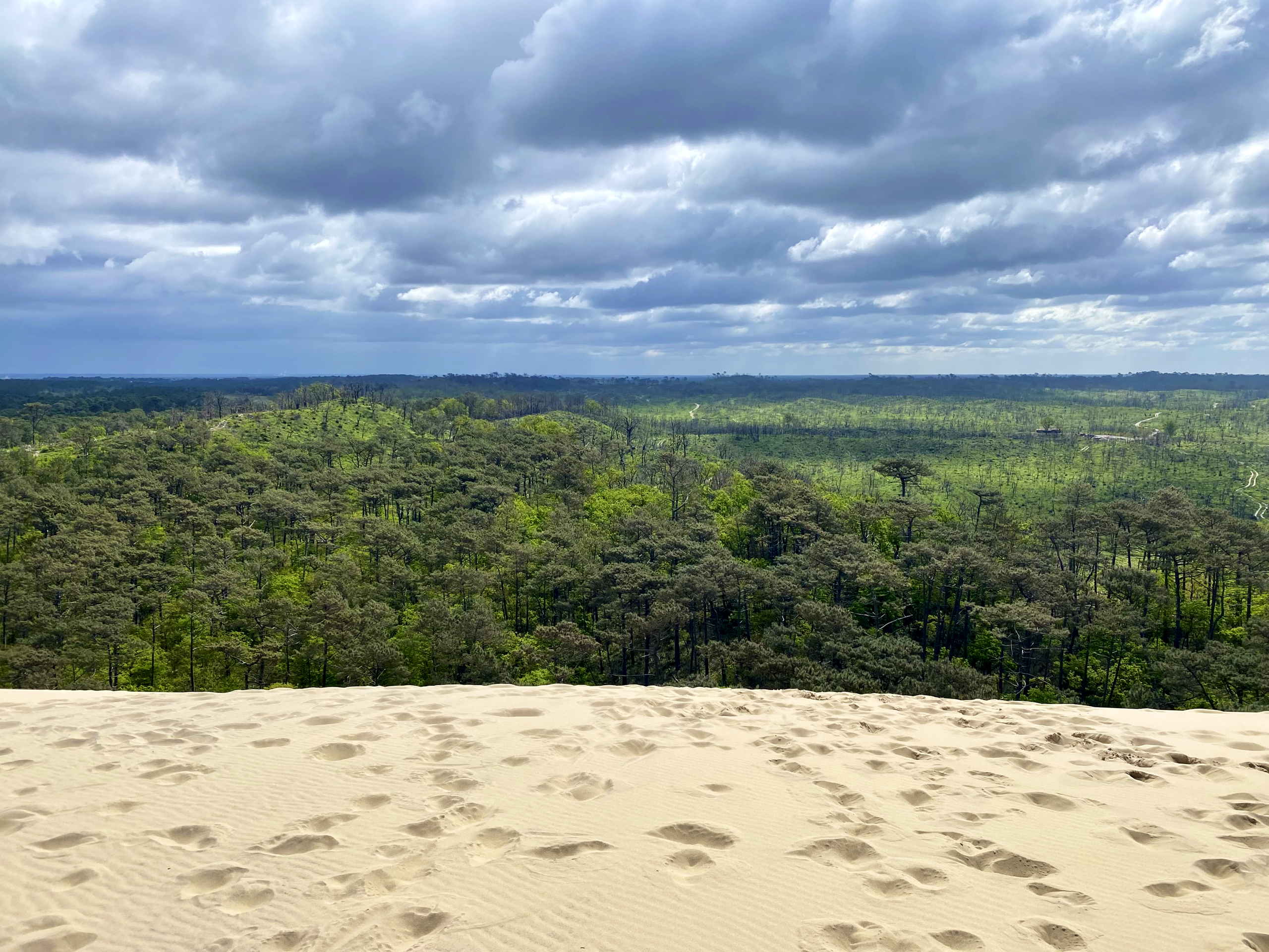 IMG 7877