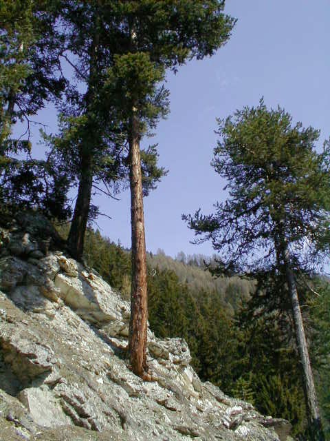 P4220027