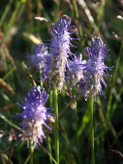 PICT0074
