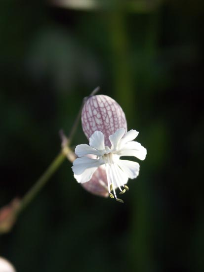 PICT0078