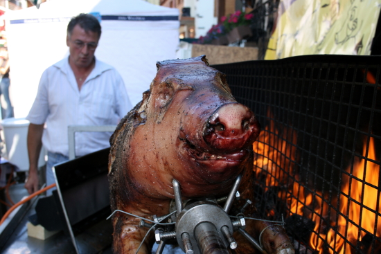 IMG 2241web