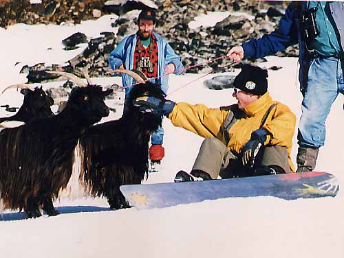 Mountaingoat jc2