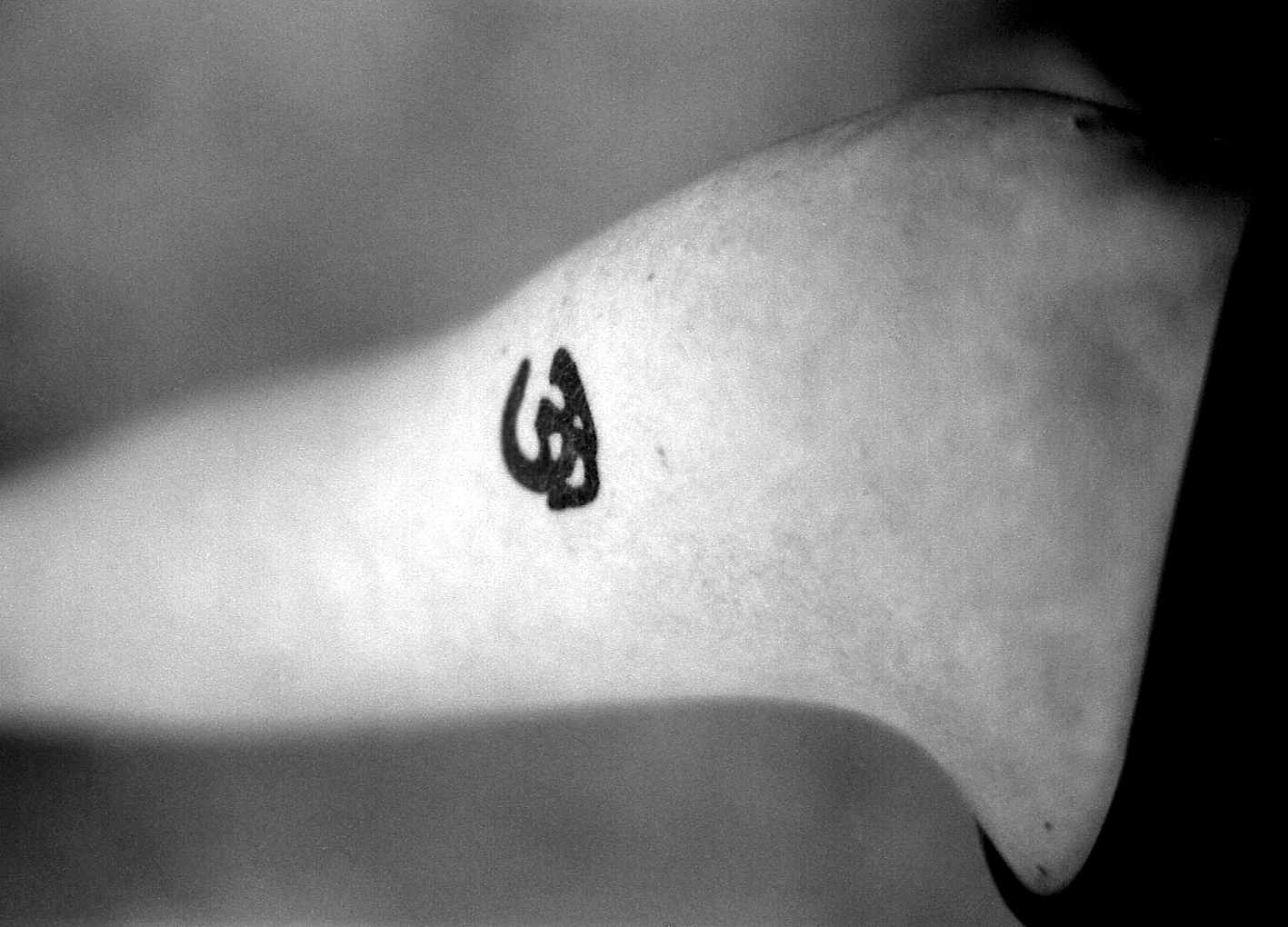 Tattoo Exhibition