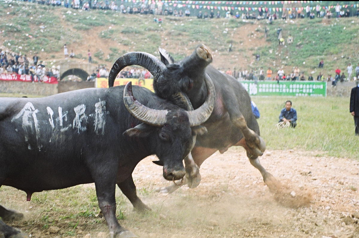 85