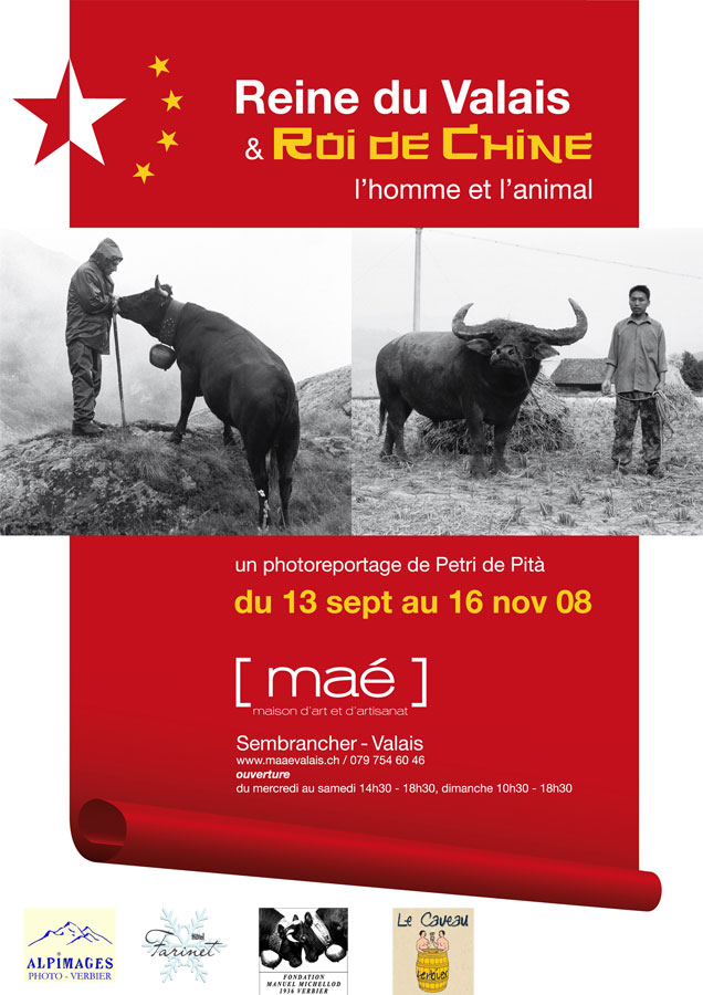 Affiche 1logo 001