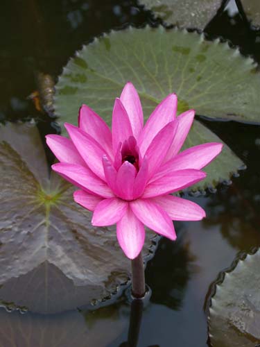028
