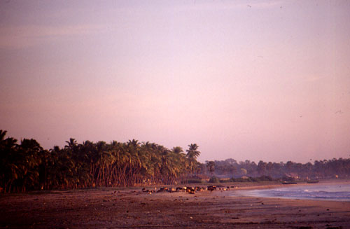 Beach2
