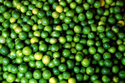 Lime
