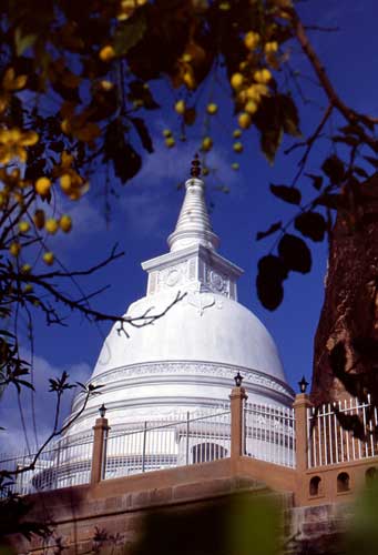 Temple