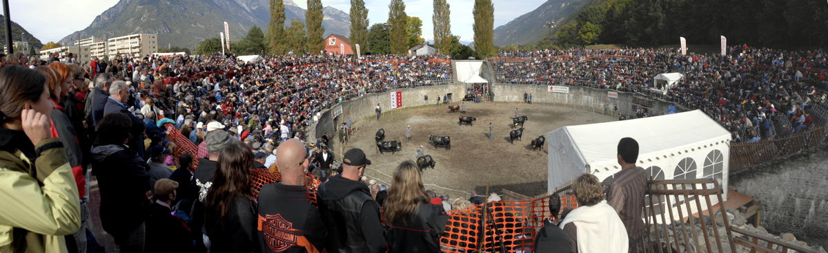 Pano arenes