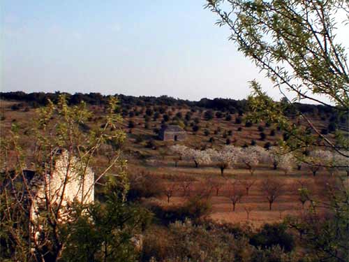 Campagne21