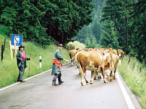 01 jaunpass