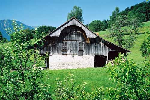 22 schwytz