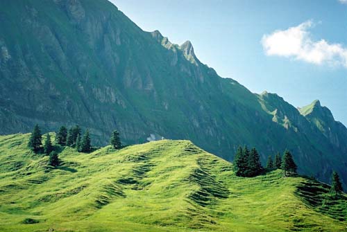 29 muotathal