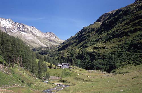 41 fluelapass