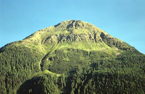 43 grisons