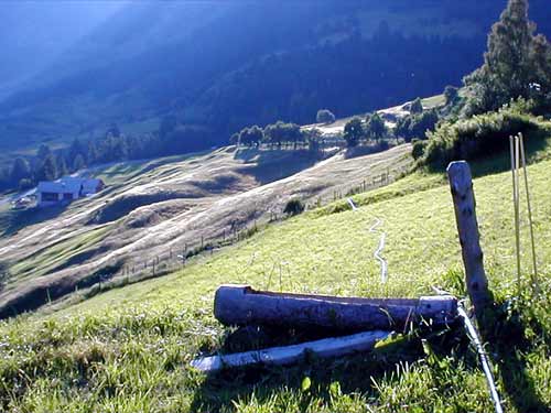 46 guarda