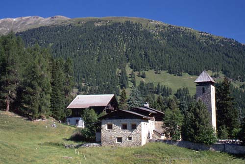 58 sils