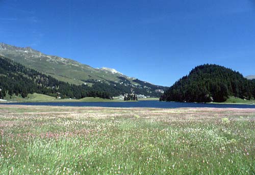 60 silvaplana