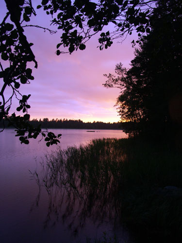 PICT0151