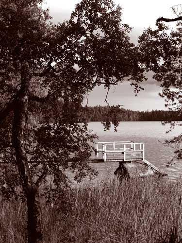 PICT0171