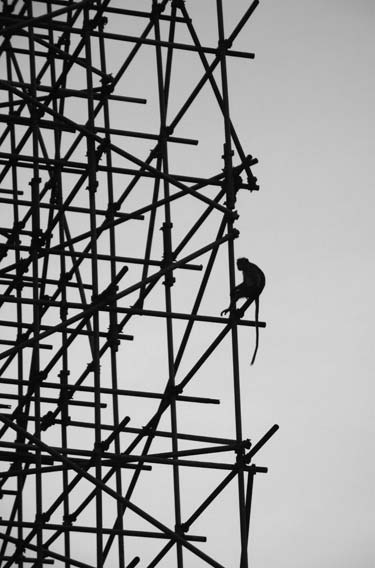 121