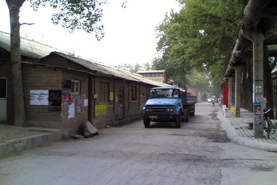 Dashanzi5