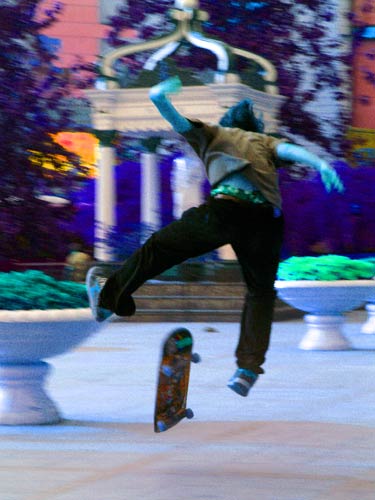 Skate