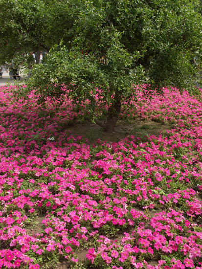 PICT0091