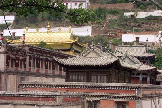 Kumbum08