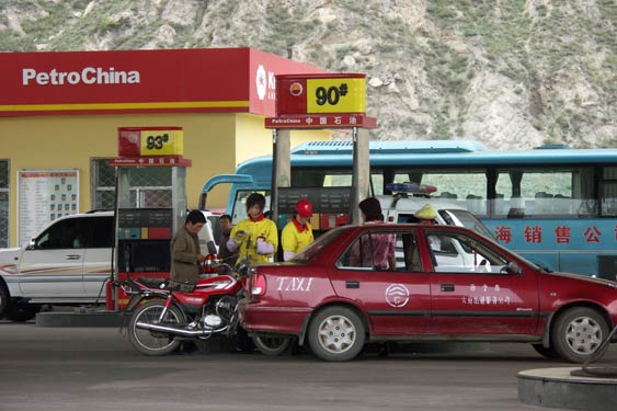 Qinhai16