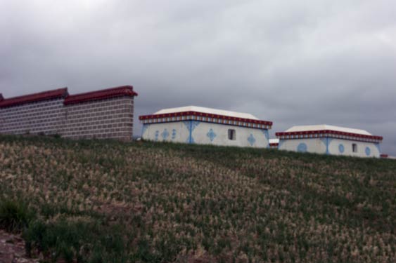 Qinhai lake11
