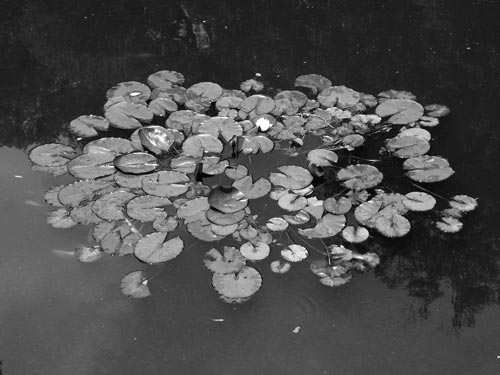 Suzhou052