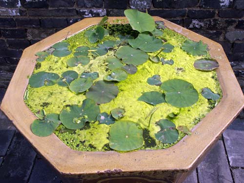 Suzhou067