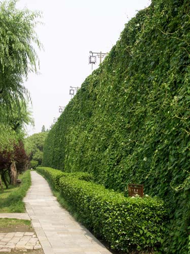 Suzhou068