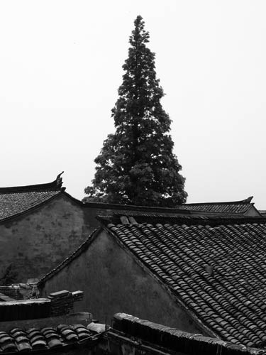 Zhouzhuang042