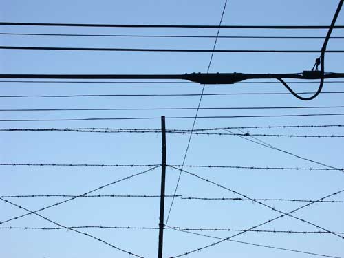 Barbwire