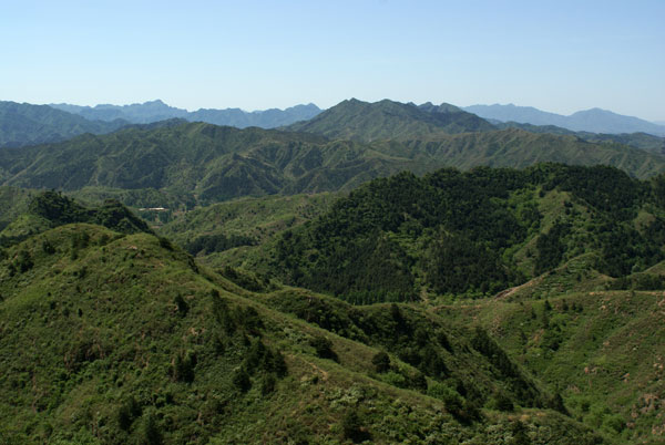 DSC01954