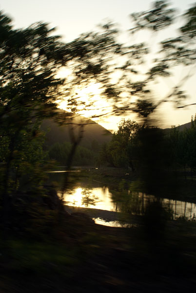 DSC02194