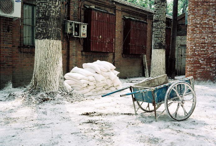 Beijing
