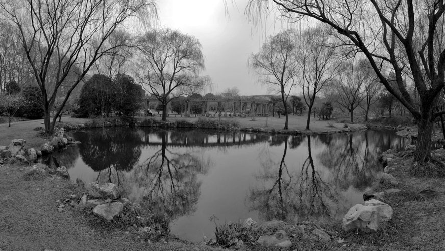 Pano parc3