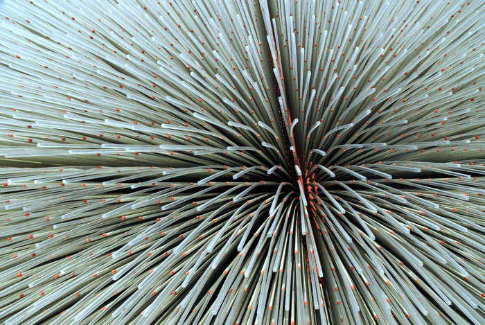 Shanghai Expo