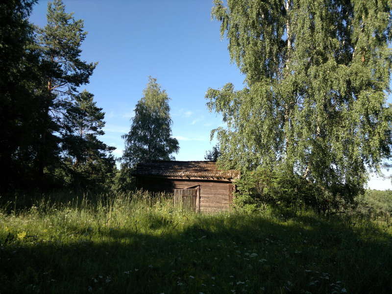 010