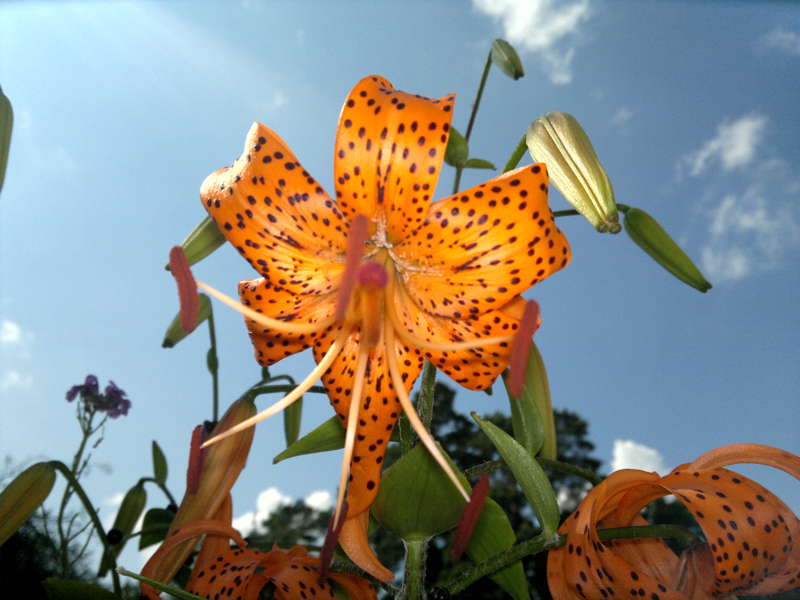 093