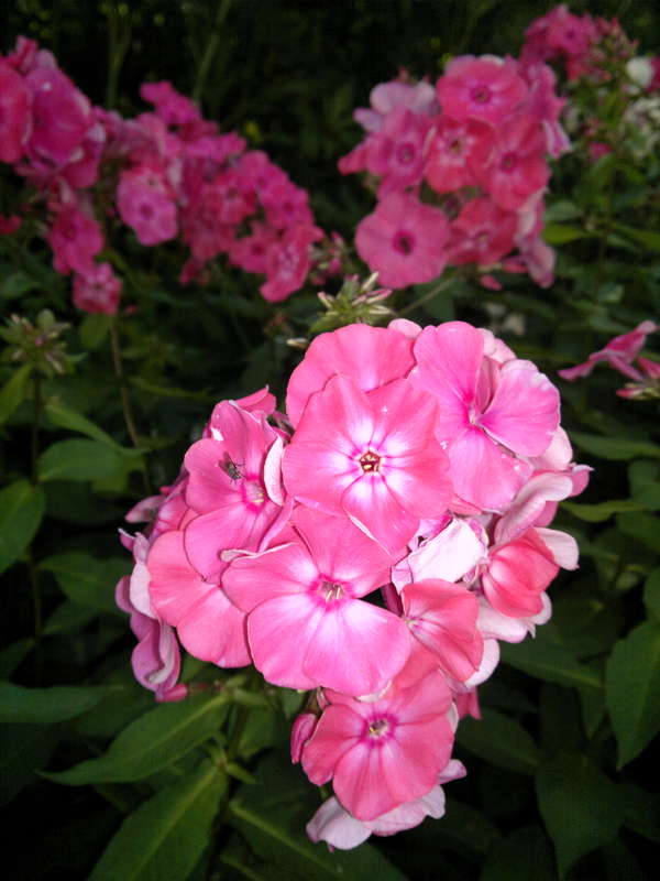 094