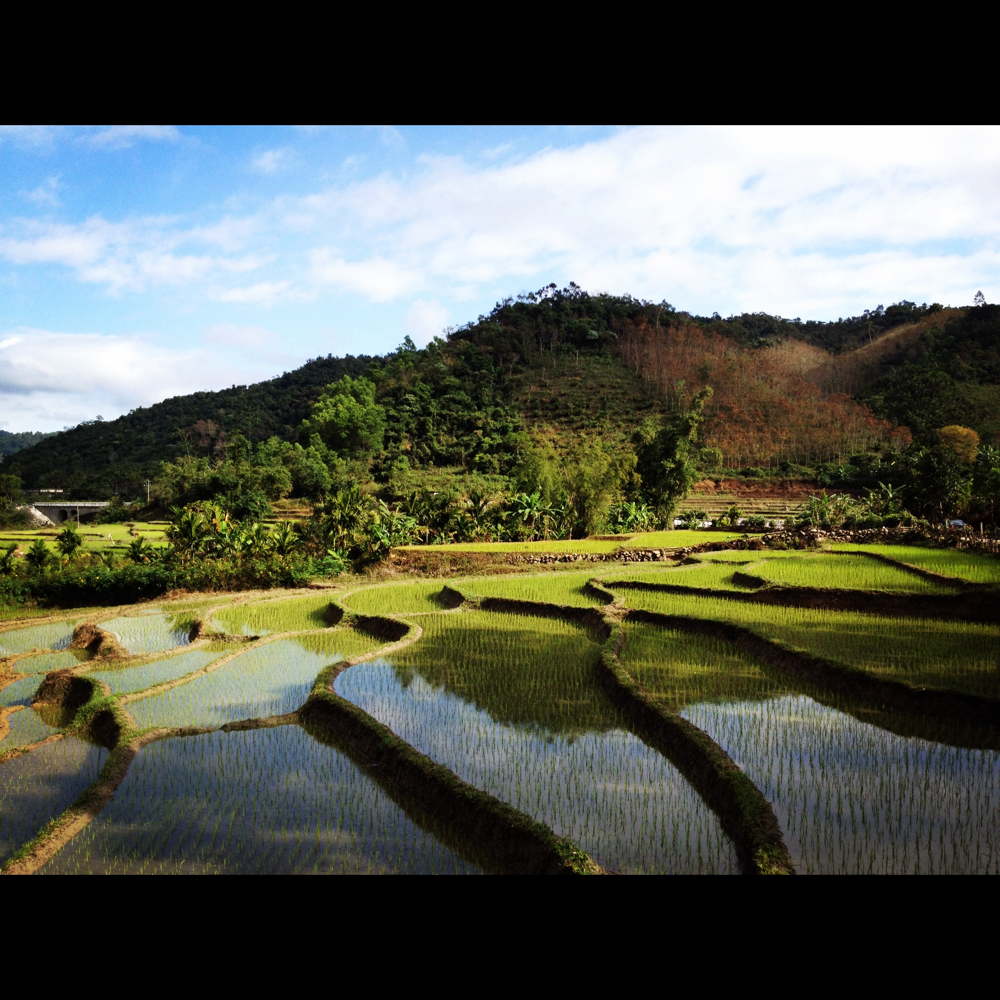 Hainan