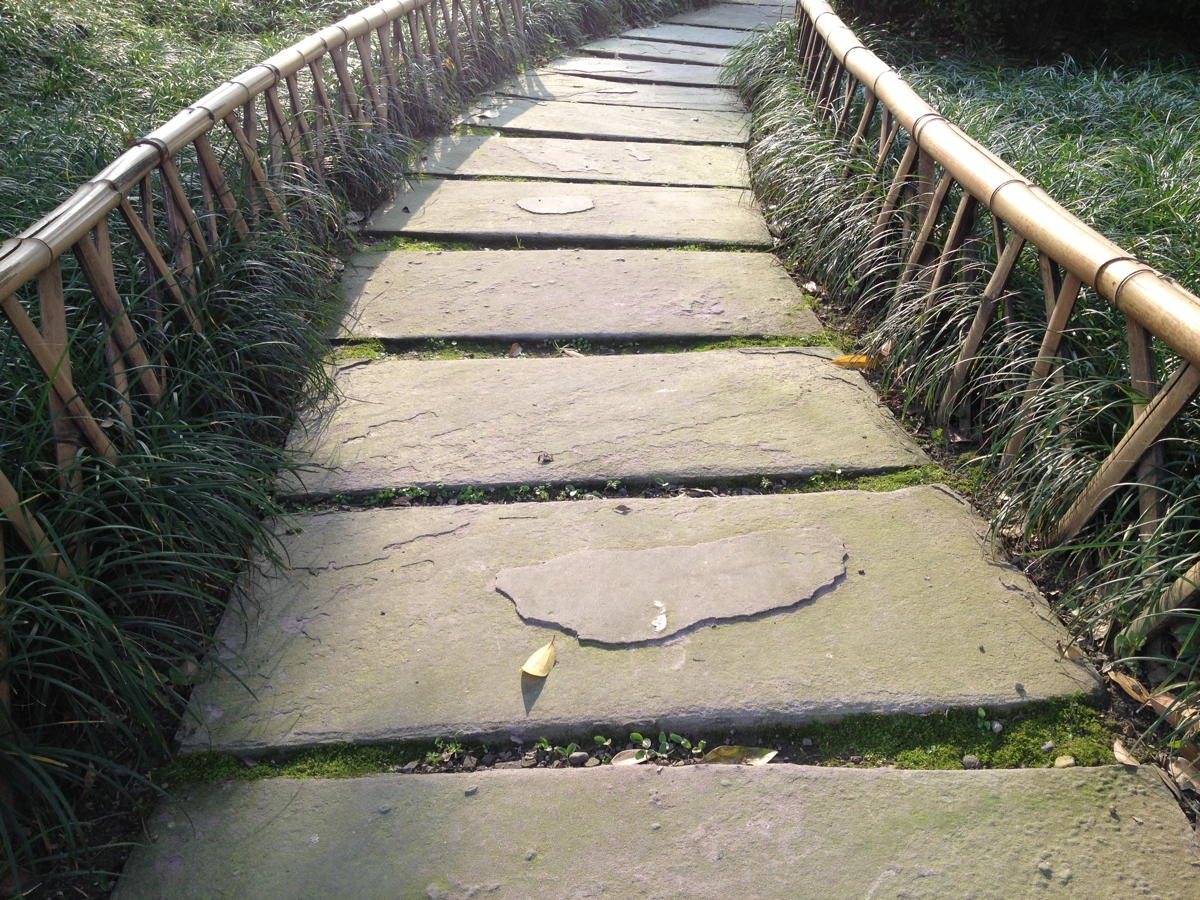 IMG 7798